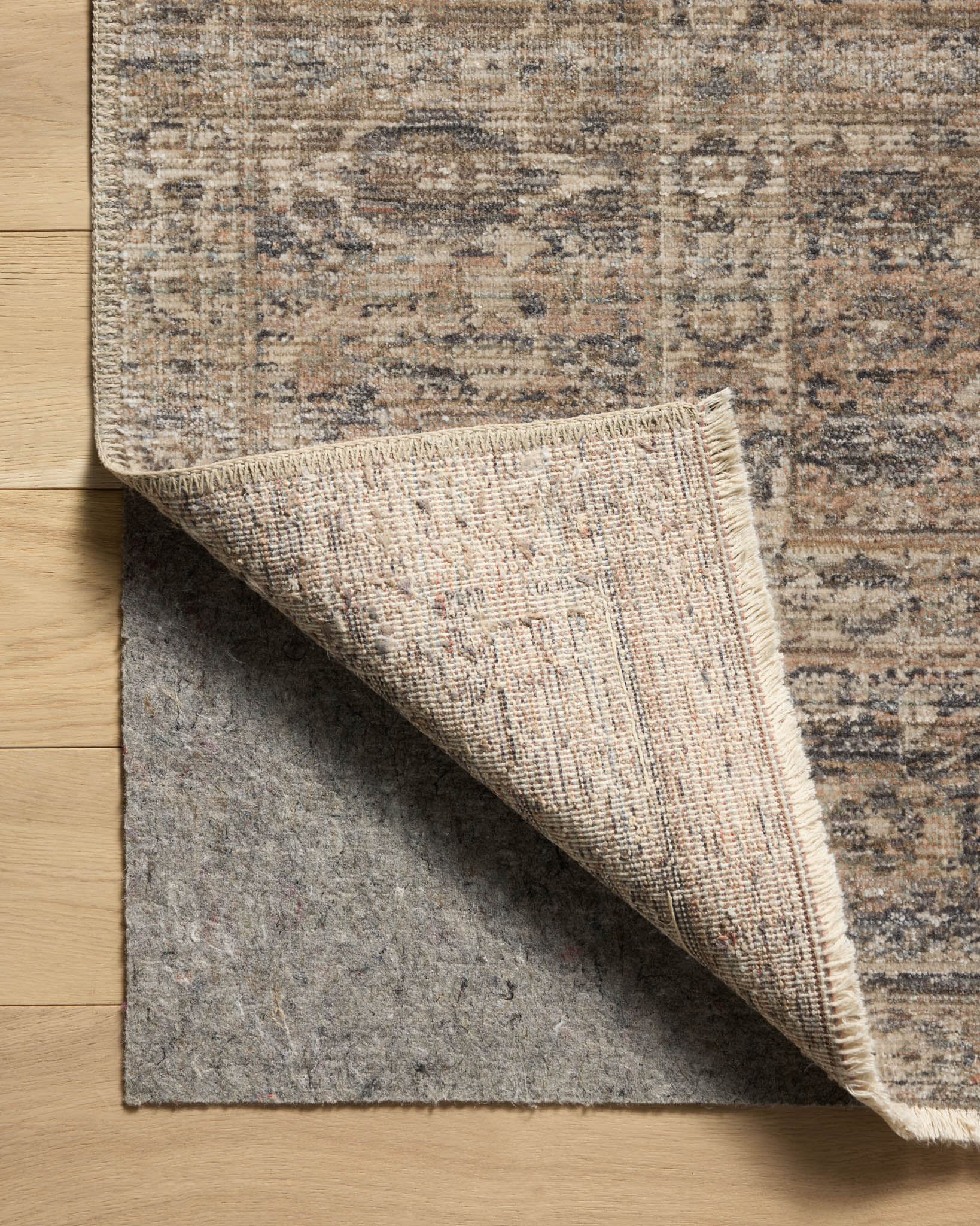 Amber Lewis x Loloi Molly Navy / Blush Rug White Cliff Studio Area Rugs