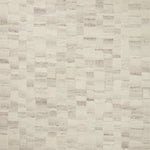 Amber Lewis x Loloi Rocky Ivory / Silver Rug