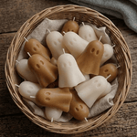 Autumn Collection White Cliff Studio Candles