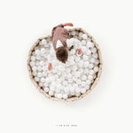 Ball Pit White Cliff Studio