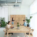 Bok cowork desk - varnished oak - rectangular - CEE7/3 (DE, NL, ES, RU...) White Cliff Studio Desk