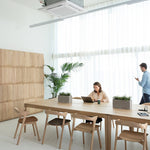 Bok cowork desk - varnished oak - rectangular - CEE7/3 (DE, NL, ES, RU...) White Cliff Studio Desk