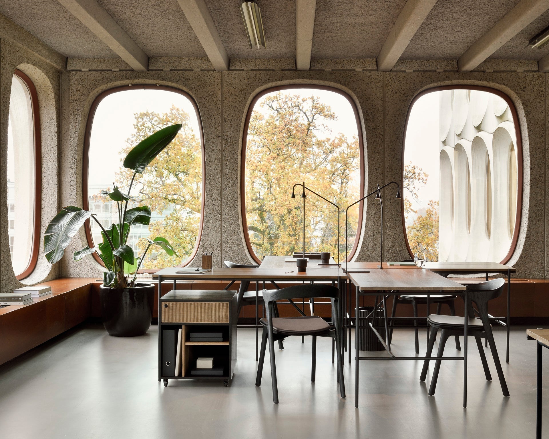 Bok Dining Chair White Cliff Studio Dining Chairs