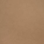 Bok Dining Chair White Cliff Studio Dining Chairs