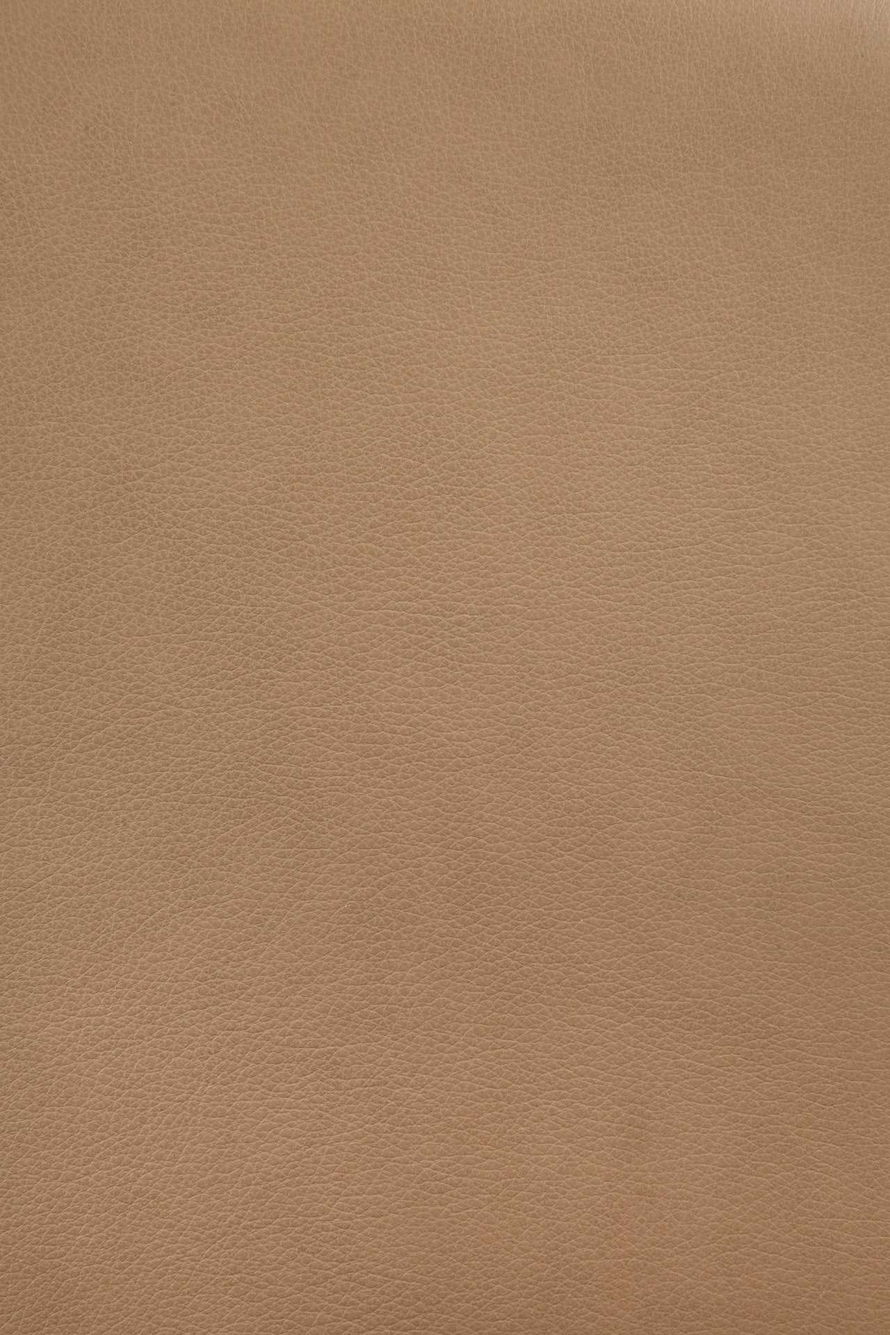 Bok dining chair - varnished oak - Sienna leather White Cliff Studio Dining Chair