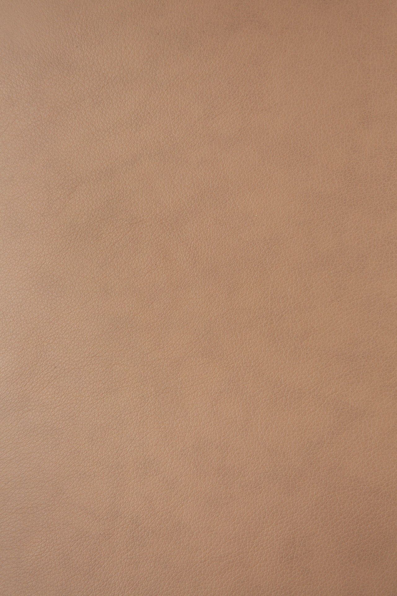 Bok dining chair - varnished oak - Sienna leather White Cliff Studio Dining Chair