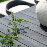 Bok outdoor dining chair - varnished teak - black White Cliff Studio Outdoor Dining Chair