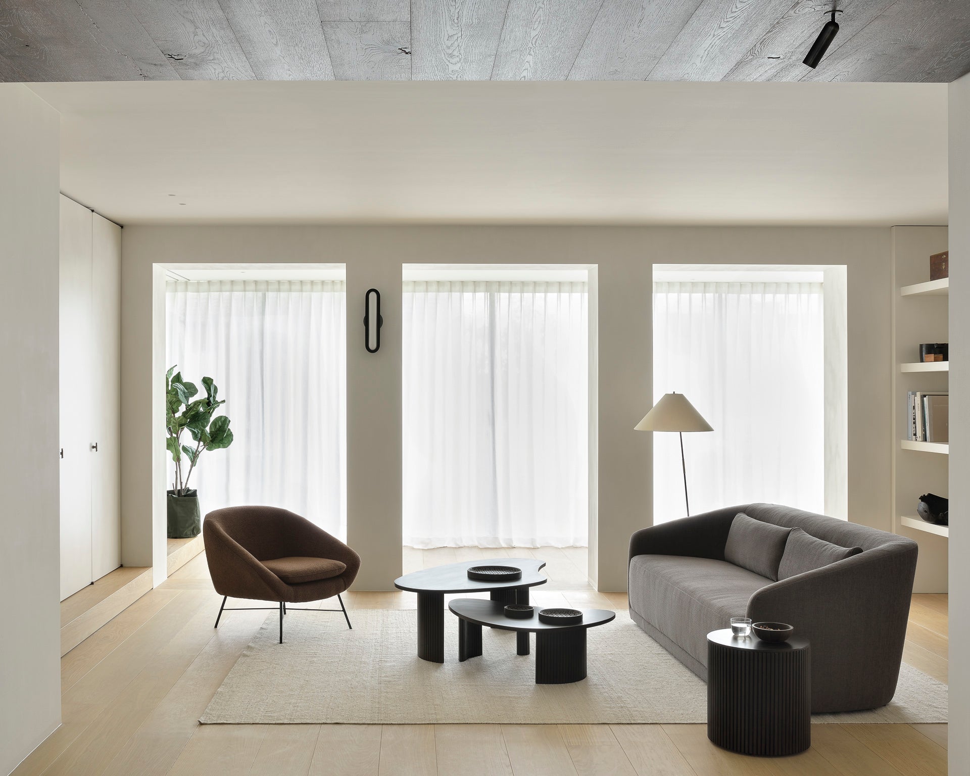 Boomerang coffee table - varnished mahogany - dark brown - pebble shape White Cliff Studio COFFEE TABLE