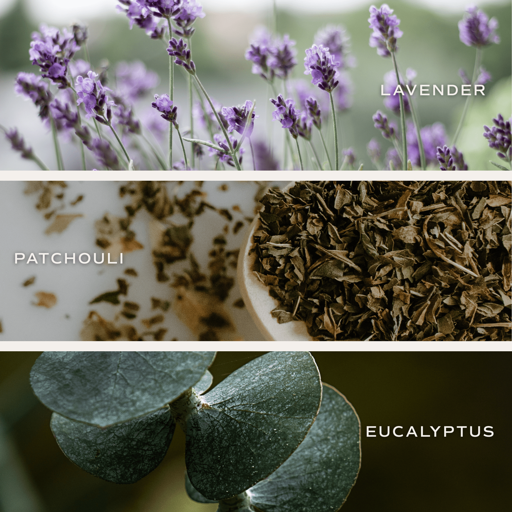 Calm and Comfort Clear Reed Diffuser (Self Care Lavender and Eucalyptus) White Cliff Studio Reed Diffusers