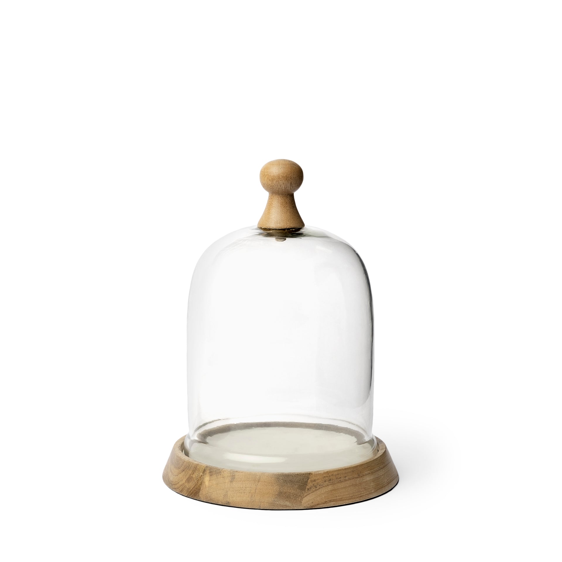 Camilla Glass Cloche with Wood and Marble Base