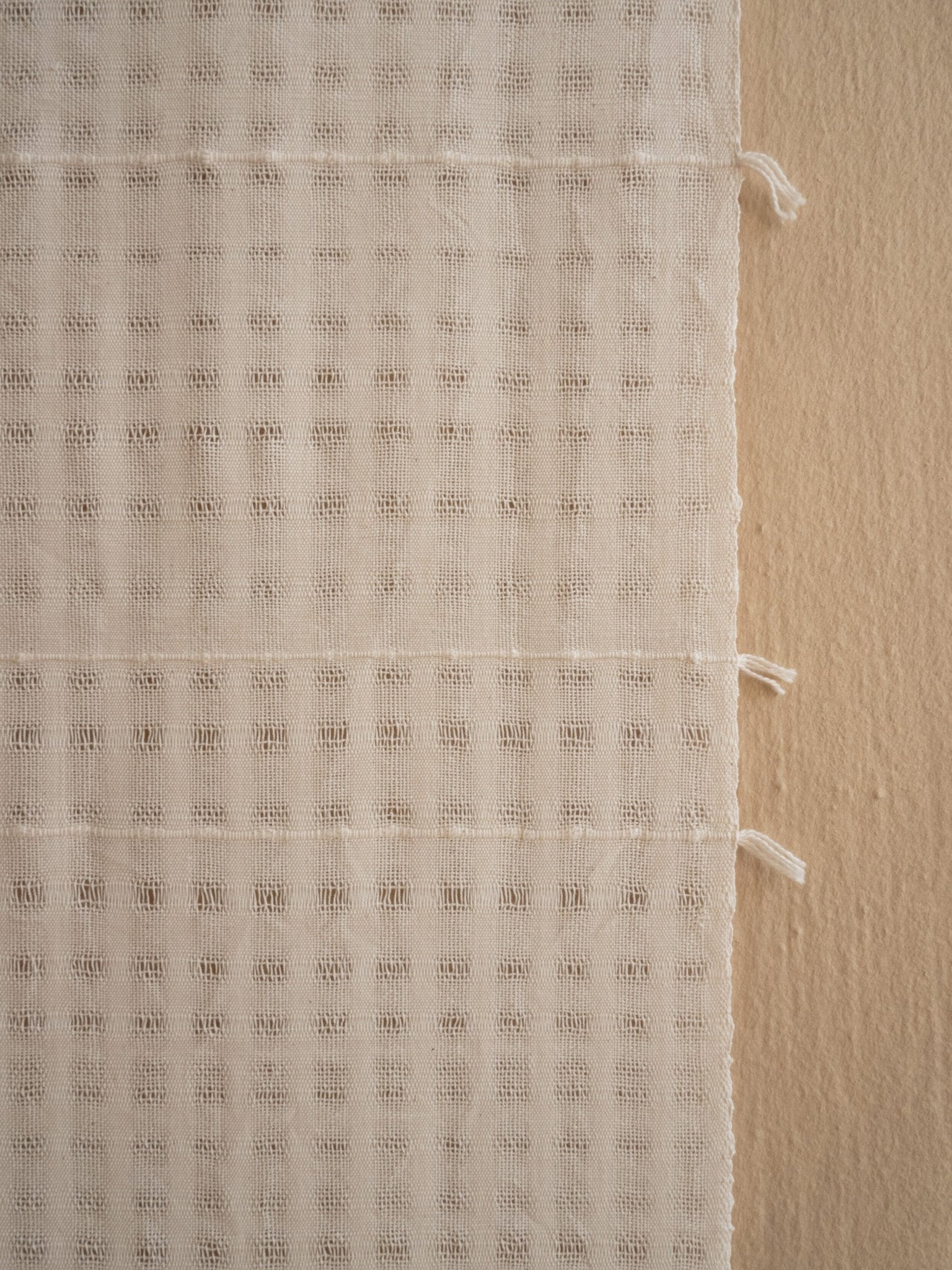 Chiaro Handwoven Cotton Wall Hanging