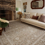 Chris Loves Julia x Loloi Ida Bark / Multi 11' - 6" x 15' - 6" Area Rug White Cliff Studio Area Rugs