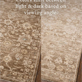 Chris Loves Julia x Loloi Palma Brown / Earth Rug White Cliff Studio Area Rugs