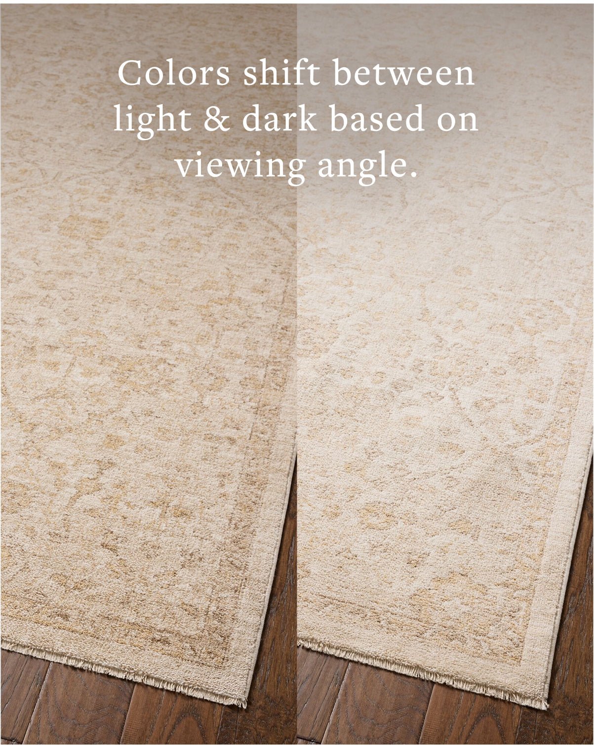 Chris Loves Julia x Loloi Palma Ivory / Sand Rug White Cliff Studio Area Rugs