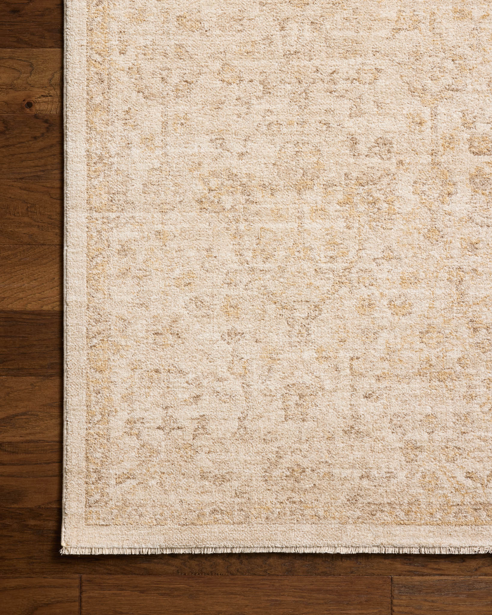 Chris Loves Julia x Loloi Palma Ivory / Sand Rug White Cliff Studio Area Rugs