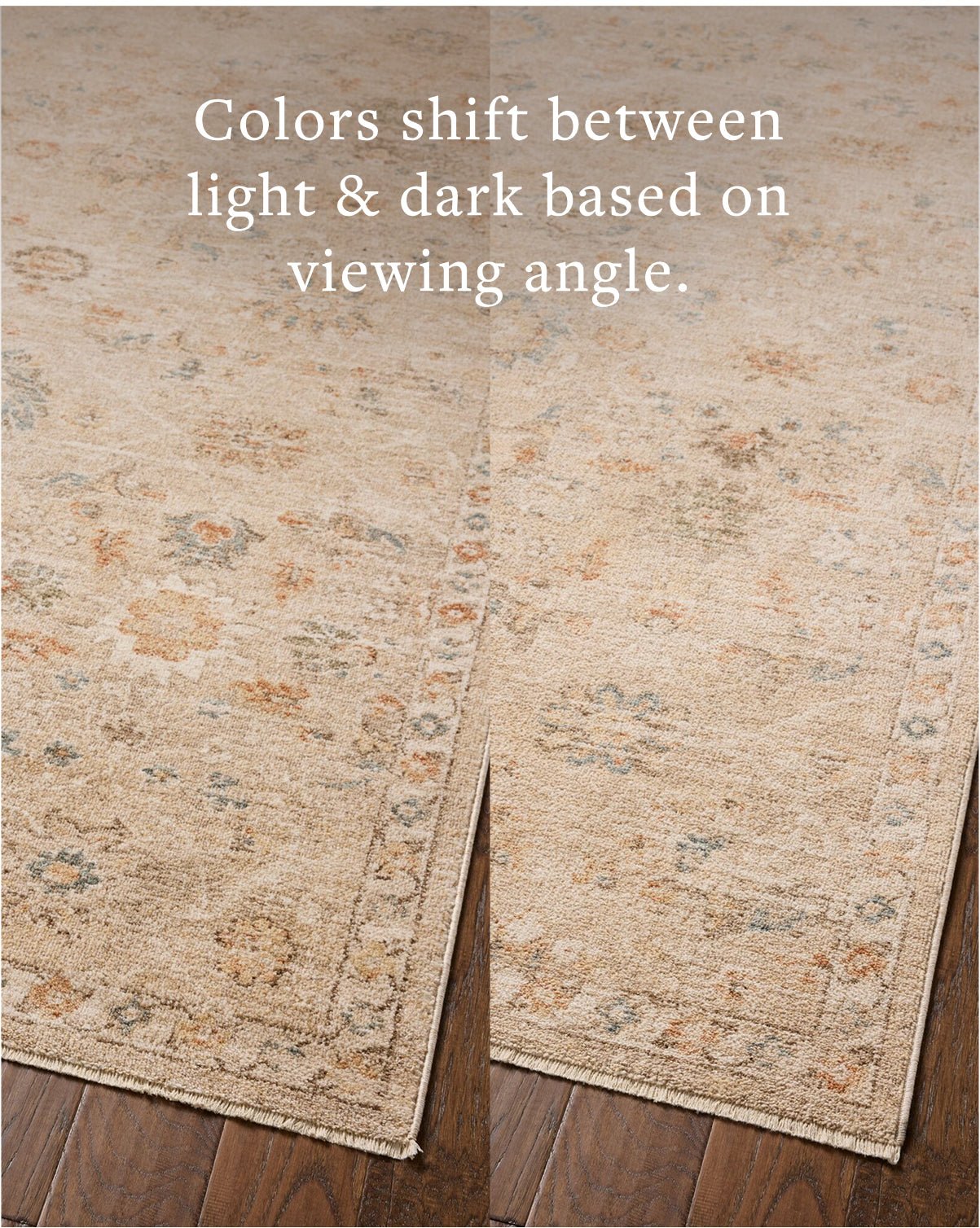 Chris Loves Julia x Loloi Palma Natural / Multi Rug White Cliff Studio Area Rugs