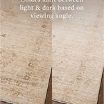 Chris Loves Julia x Loloi Palma Natural / Smoke Rug White Cliff Studio Area Rugs
