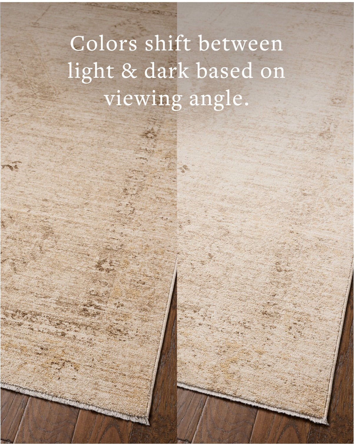 Chris Loves Julia x Loloi Palma Natural / Smoke Rug White Cliff Studio Area Rugs
