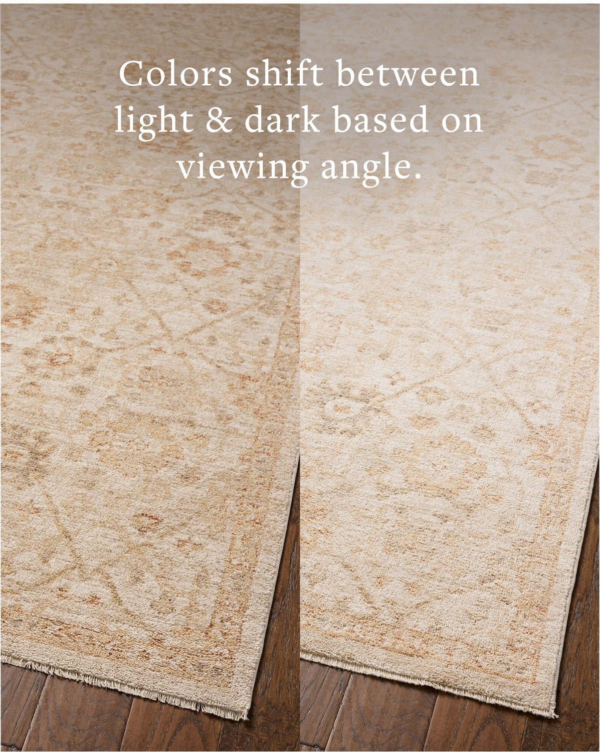 Chris Loves Julia x Loloi Palma Natural / Spice Rug White Cliff Studio Area Rugs