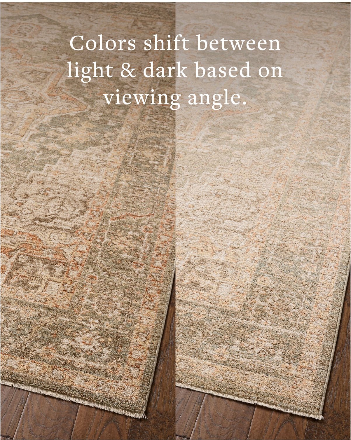 Chris Loves Julia x Loloi Palma Olive / Spice Rug White Cliff Studio Area Rugs