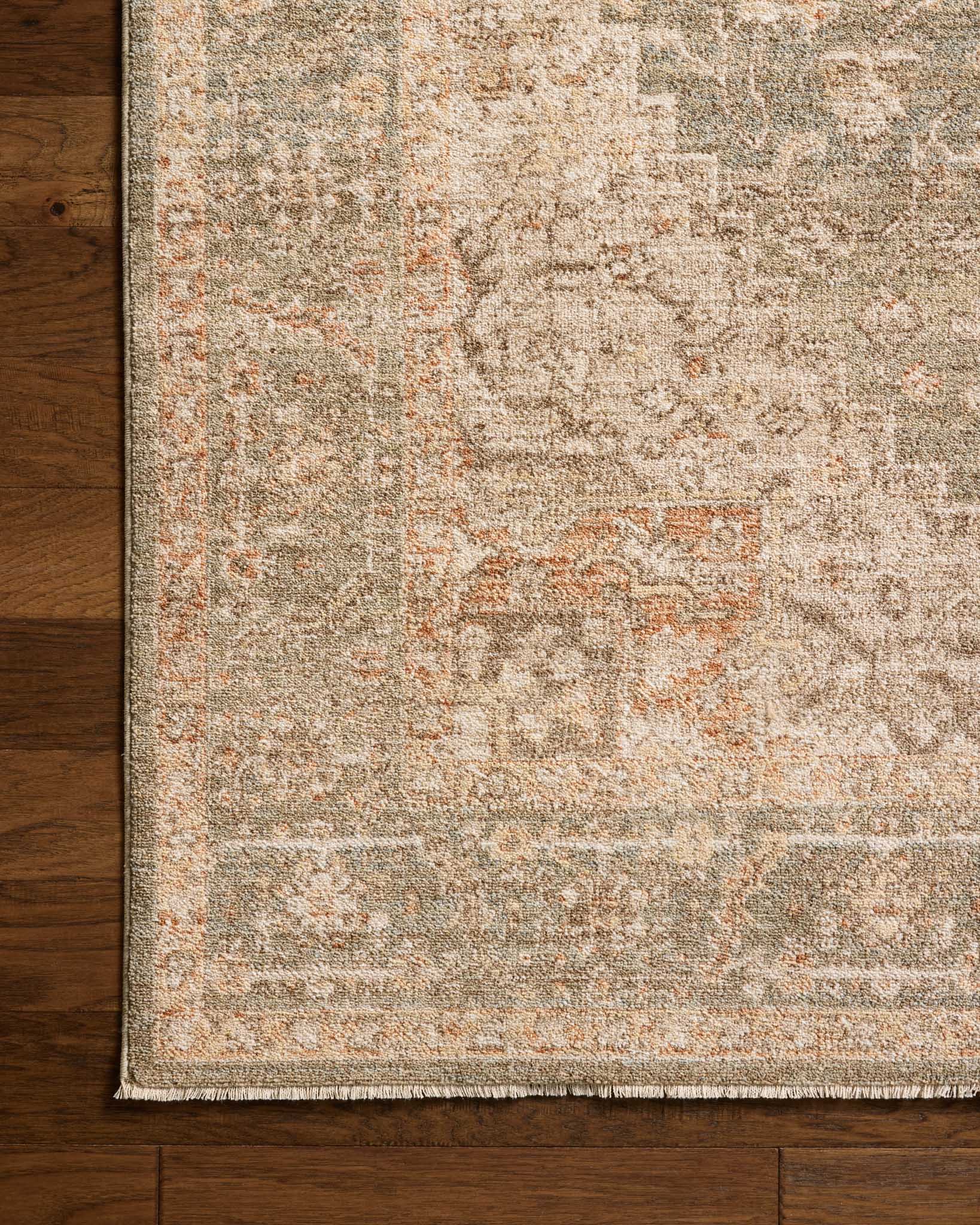 Chris Loves Julia x Loloi Palma Olive / Spice Rug White Cliff Studio Area Rugs