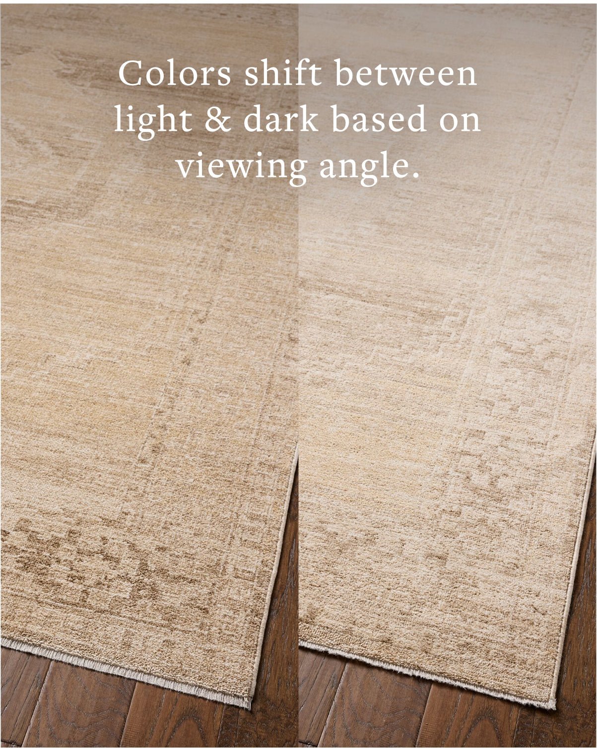 Chris Loves Julia x Loloi Palma Wheat / Taupe Rug White Cliff Studio Area Rugs