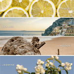 Coastal Lemon Clear Reed Diffuser White Cliff Studio Reed Diffusers