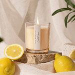 Coastal Lemon Soy Candle - Tinted Glass Jar - 12 oz White Cliff Studio Candles and Candle Accessories