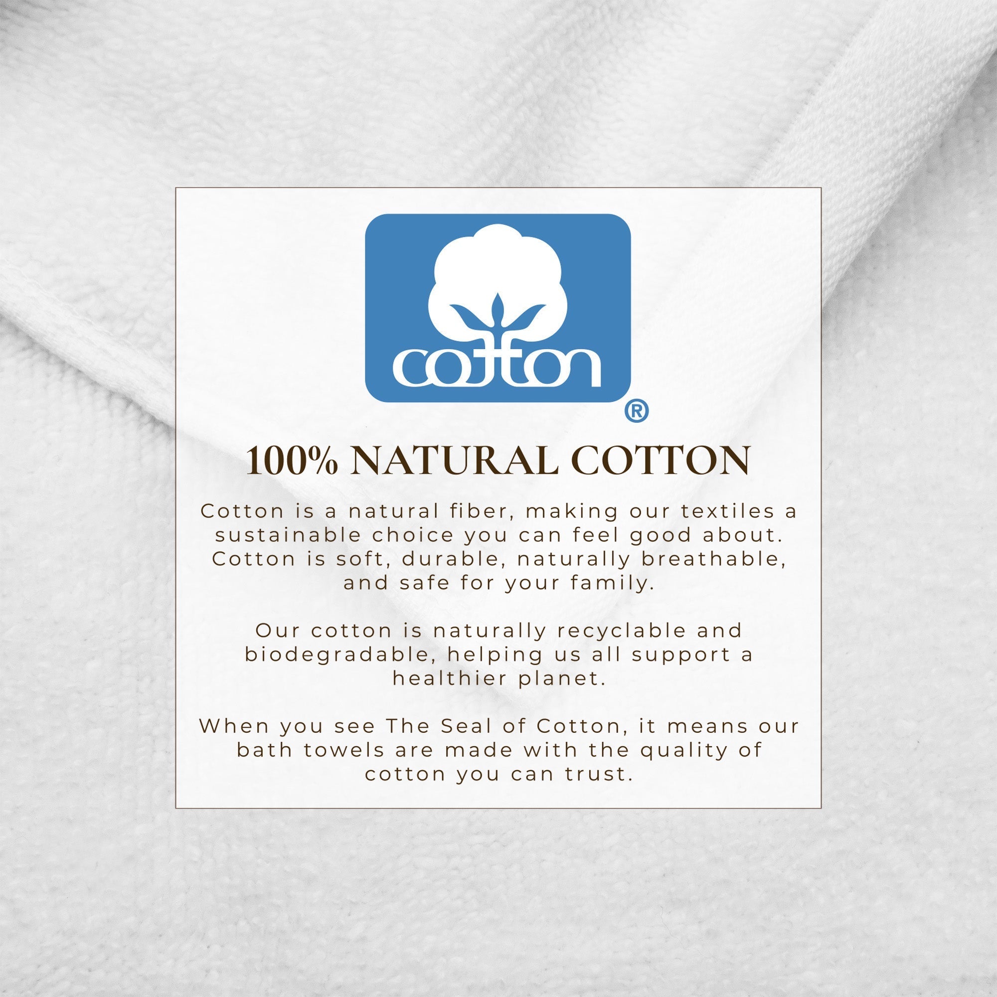 Cotton Border-Stitched 6-Piece Towel Set - Valery Collection White Cliff Studio Towels