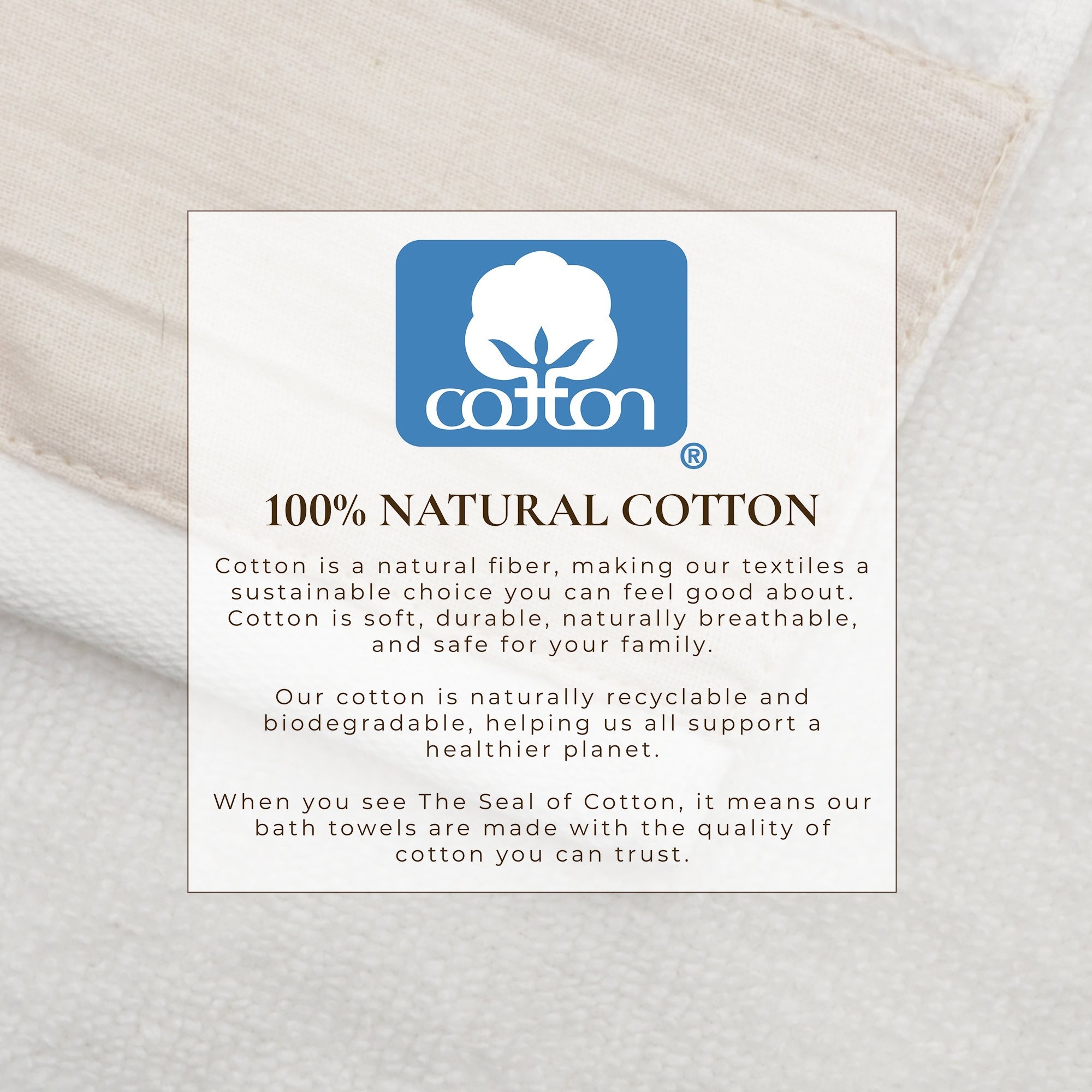 Cotton Linen-Like Border 6-Piece Towel Set - Priya Collection White Cliff Studio Towels