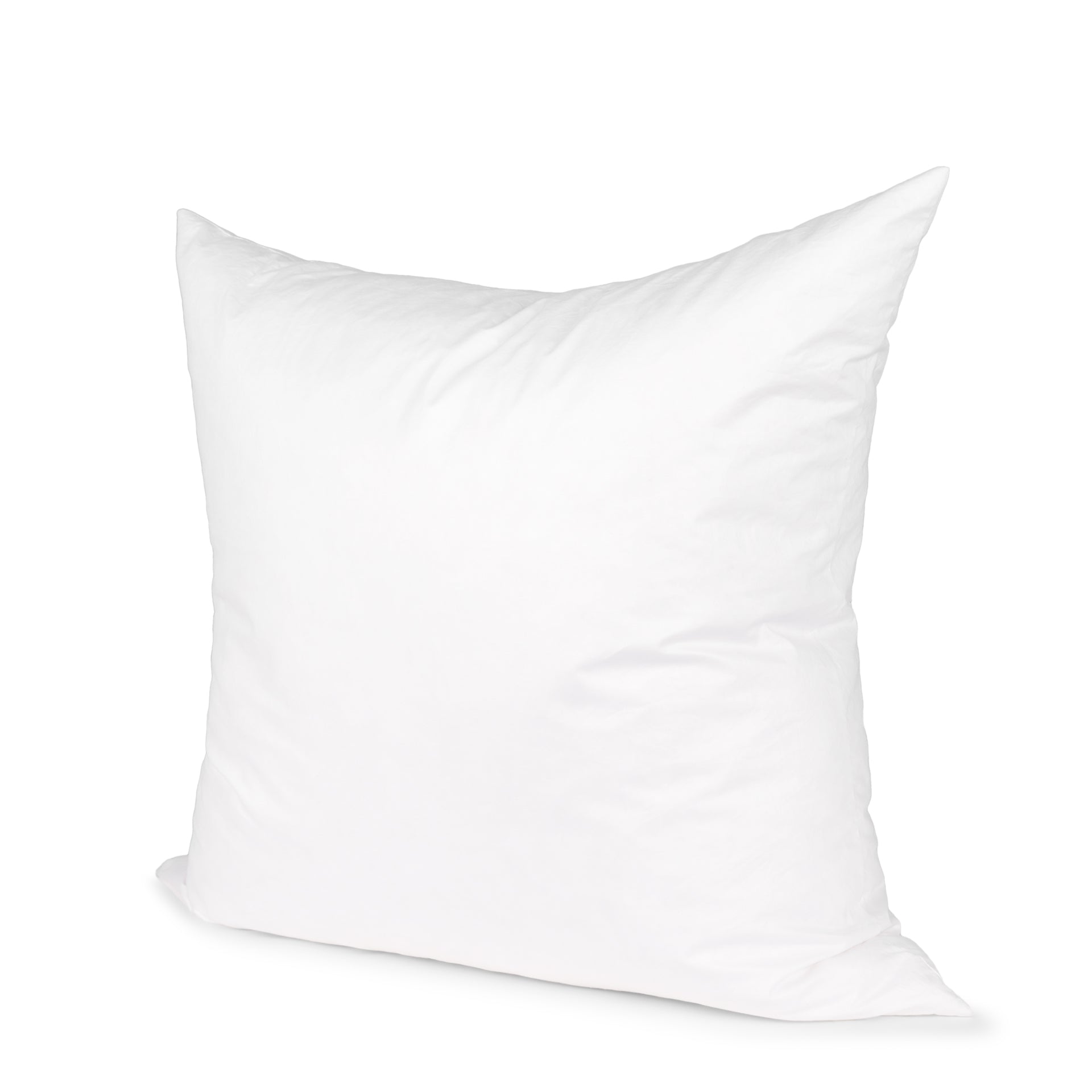 Down pillow insert 22 x 22