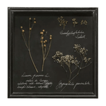 Dried Botanical Shadow Box