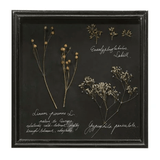 Dried Botanical Shadow Box