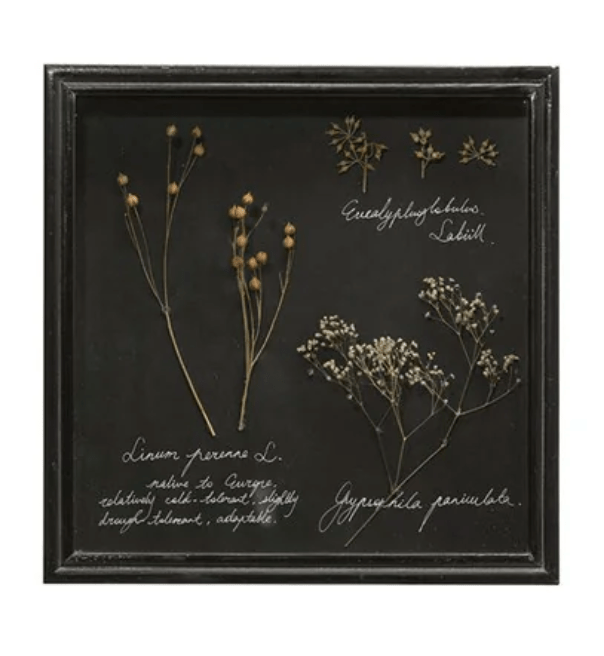 Dried Botanical Shadow Box