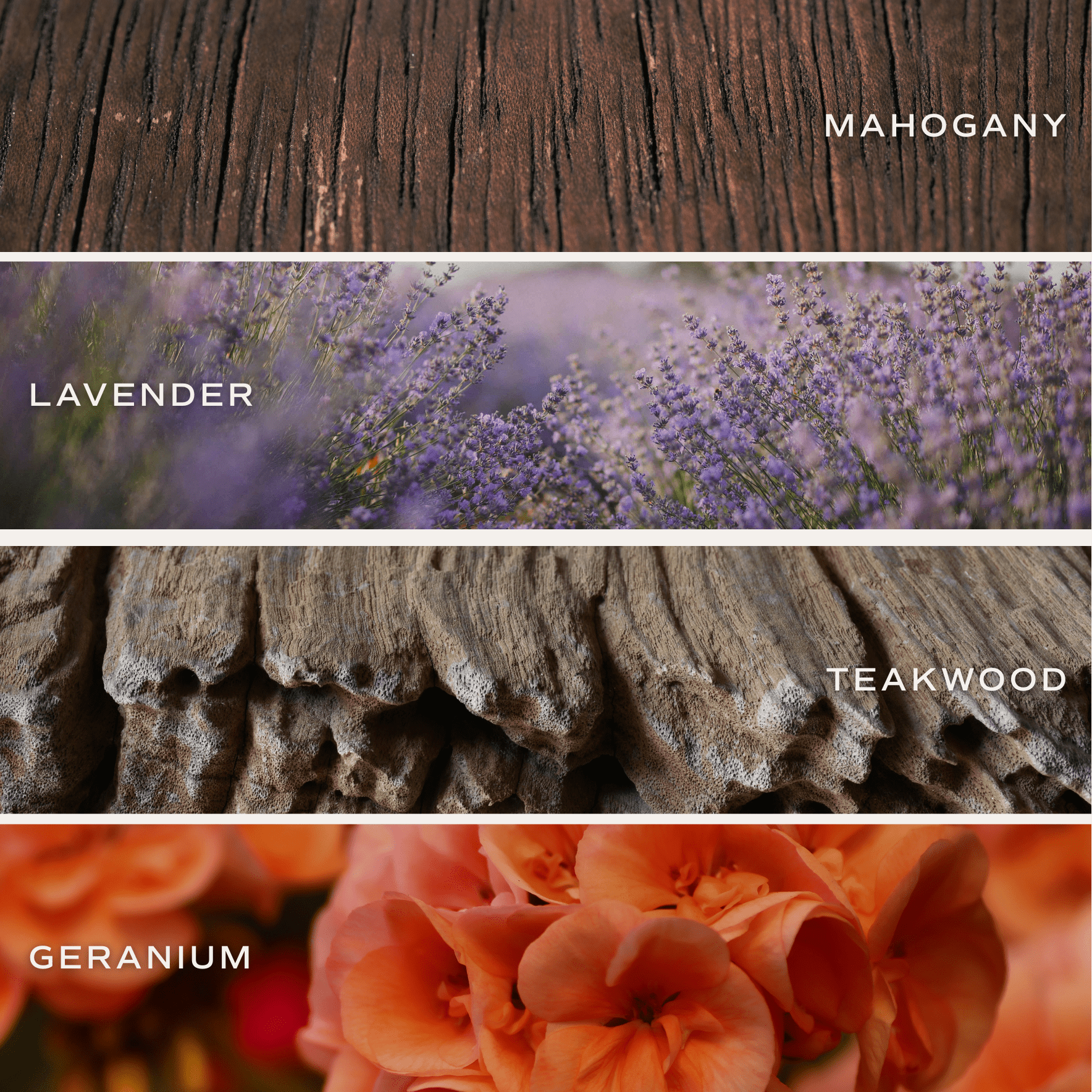 Driftwood and Mahogany Amber Reed Diffuser White Cliff Studio Reed Diffusers