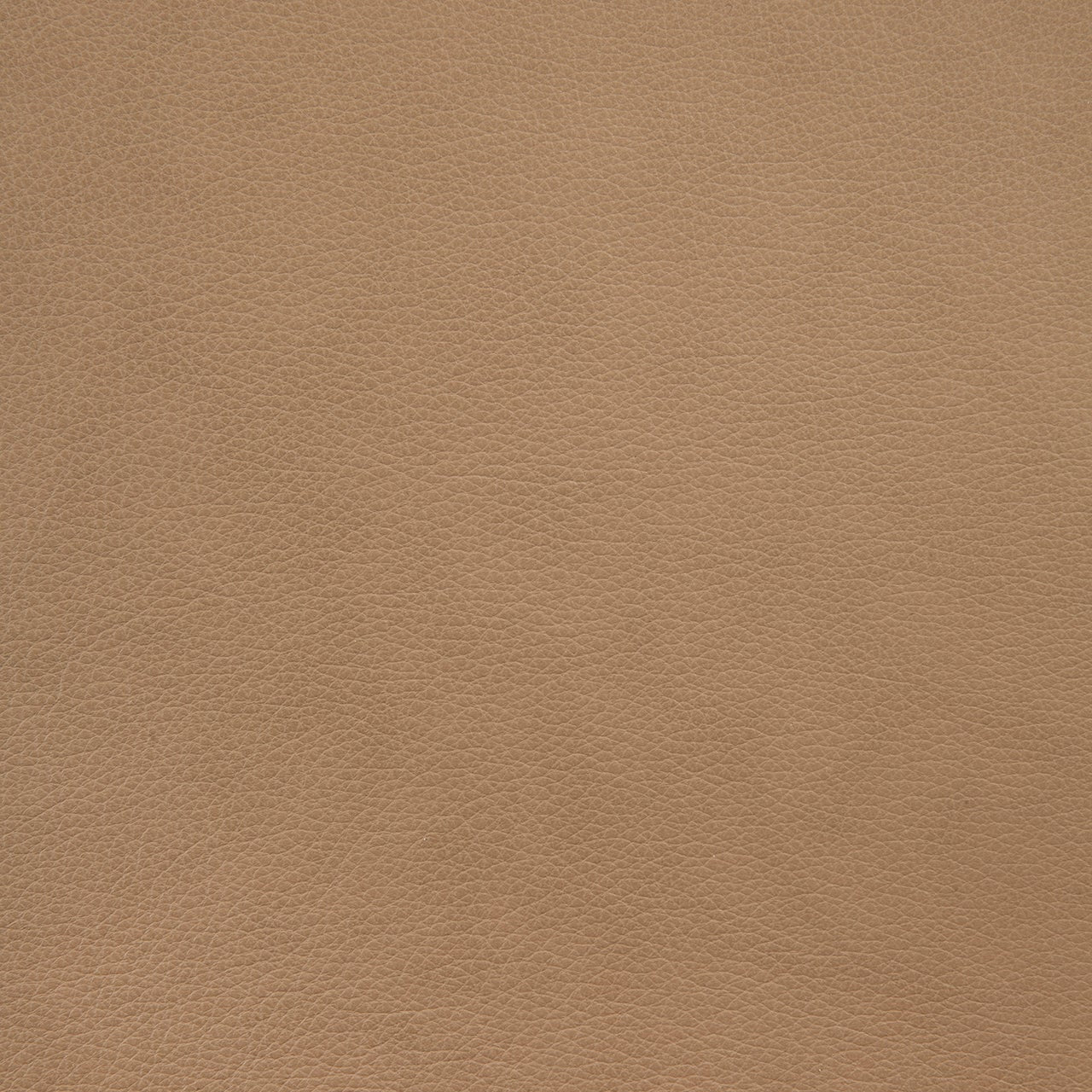 Eye lounge chair - varnished oak - Sienna leather - upholstered backrest + seat White Cliff Studio Lounge Chair