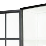Charlie Black Display Cabinet