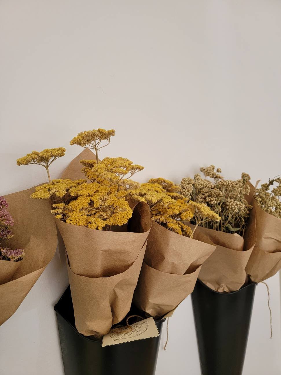 Natural Dried Floral Stems Bunch (Multiple Options)