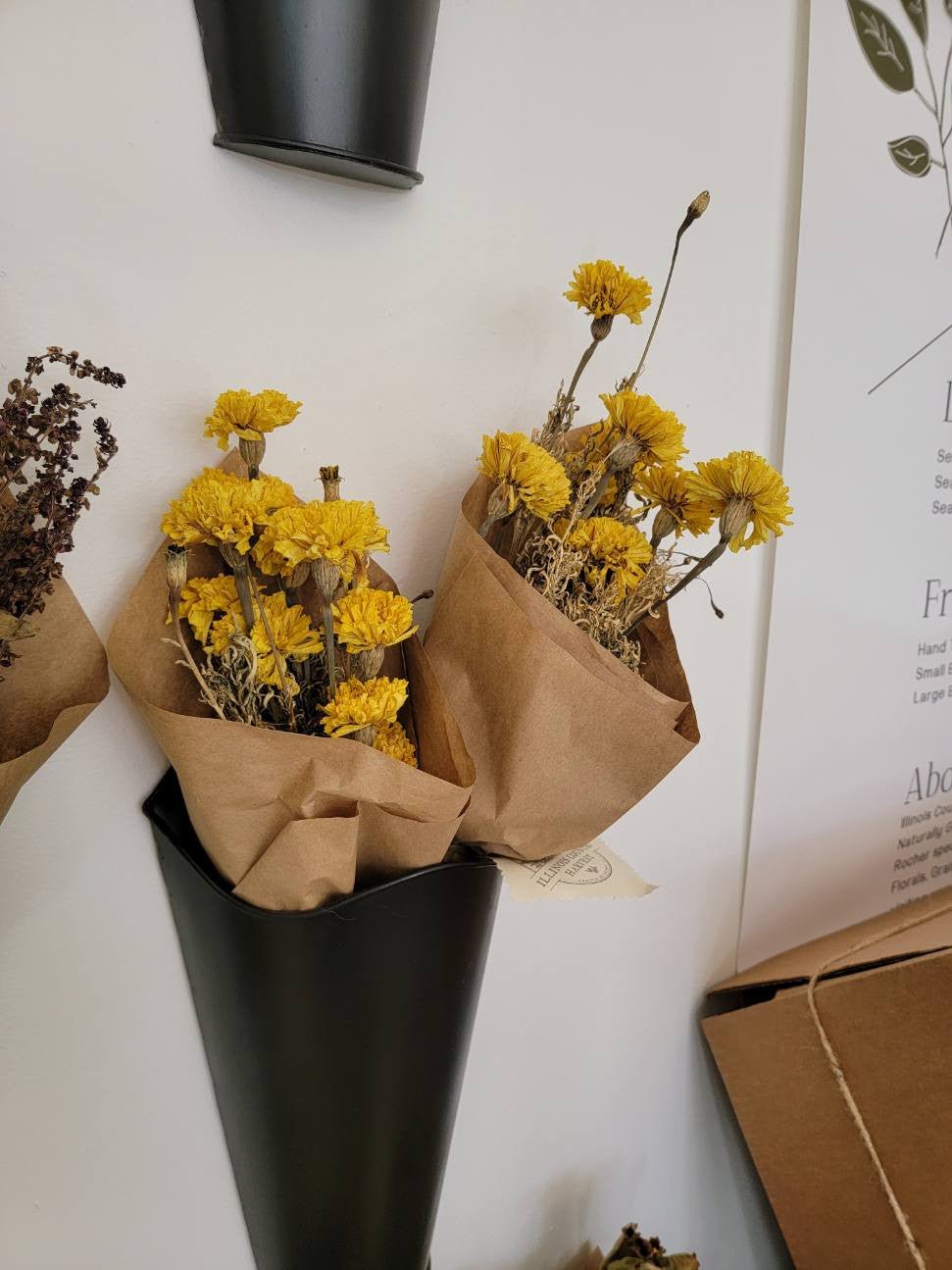 Natural Dried Floral Stems Bunch (Multiple Options)