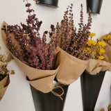 Natural Dried Floral Stems Bunch (Multiple Options)