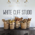 Natural Dried Floral Stems Bunch (Multiple Options)
