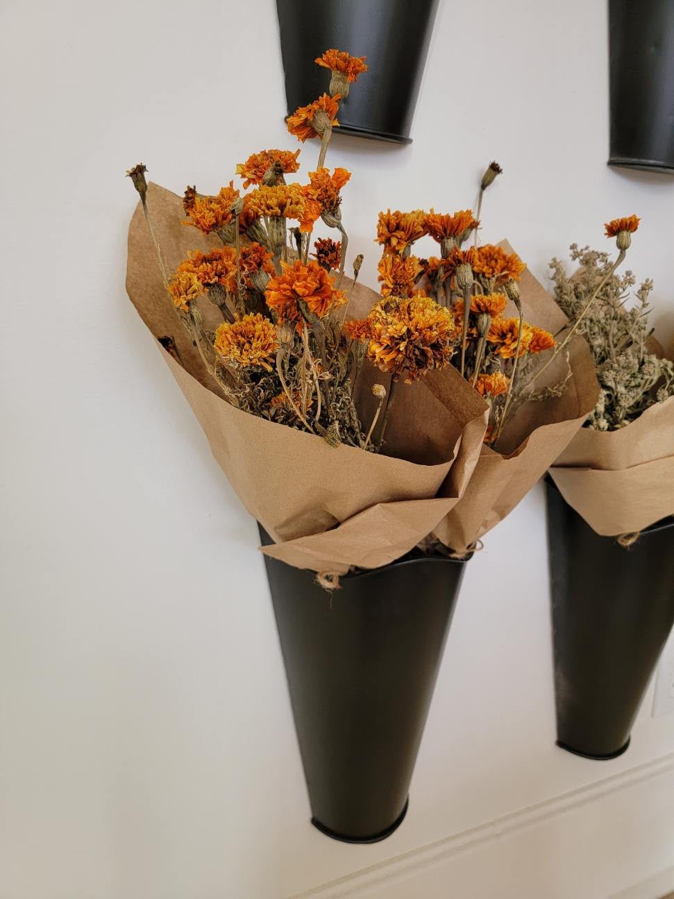 Natural Dried Floral Stems Bunch (Multiple Options)