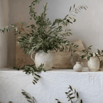 Eleanor Off - White Ceramic Jug