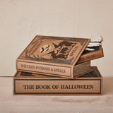 Halloween Book Storage Boxes, Set of 3 White Cliff Studio Decorative Boxes