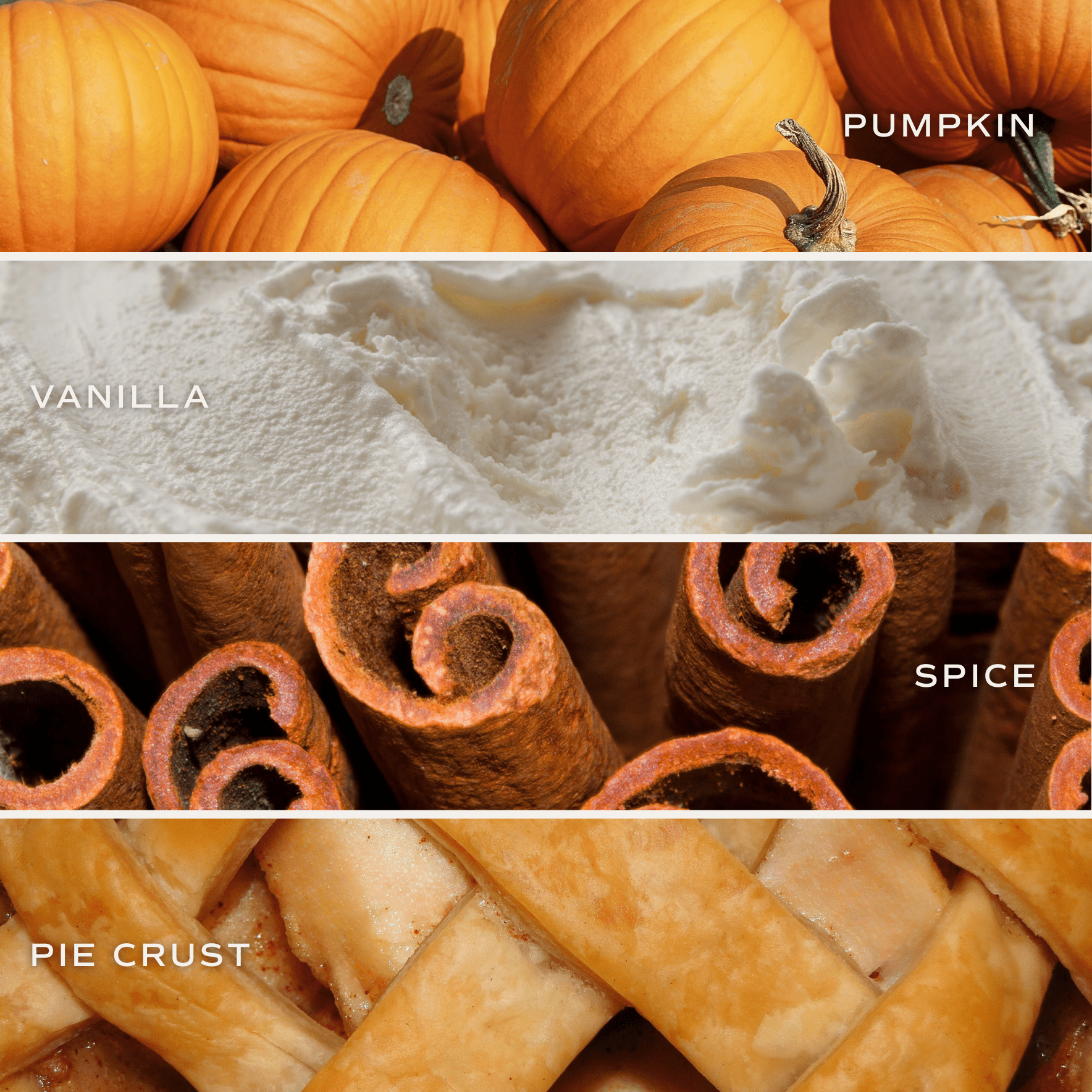 Hello Pumpkin Soy Candle - Clear Jar - 9 oz White Cliff Studio Candles and Candle Accessories