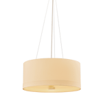 Hudson Valley Lighting | Ashland Pendant - AGED BRASS White Cliff Studio Pendant