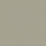 Hudson Wallpaper by Daphne and Sage