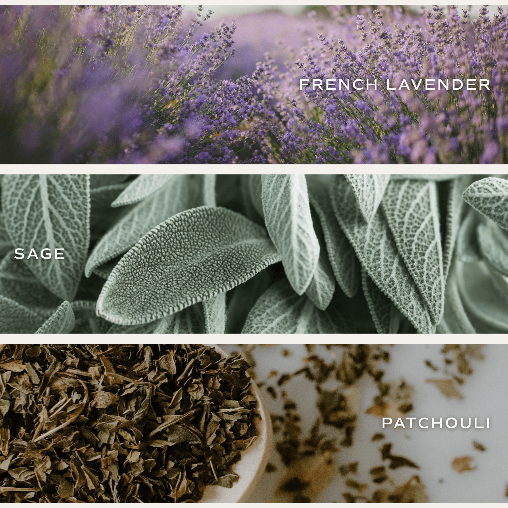 Lavender and Sage Clear Reed Diffuser White Cliff Studio Reed Diffusers