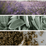 Lavender and Sage Soy Candle - Tinted Glass Jar - 12 oz White Cliff Studio Candles and Candle Accessories