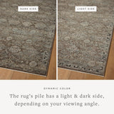 Loloi Briar Bark / Lagoon Area Rug White Cliff Studio Area Rug